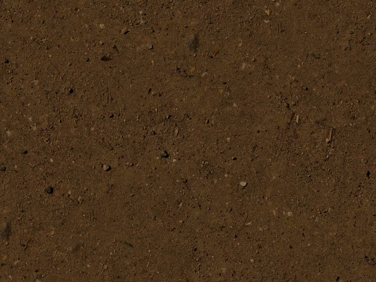 dirt texture